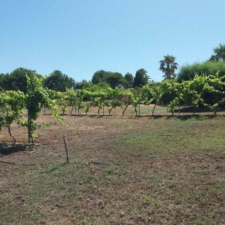 Villa Kos Mastichari  Dış mekan fotoğraf