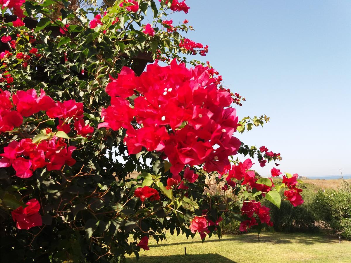 Villa Kos Mastichari  Dış mekan fotoğraf